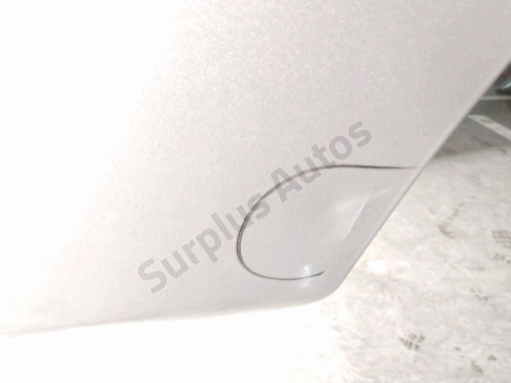 Porte arrière gauche