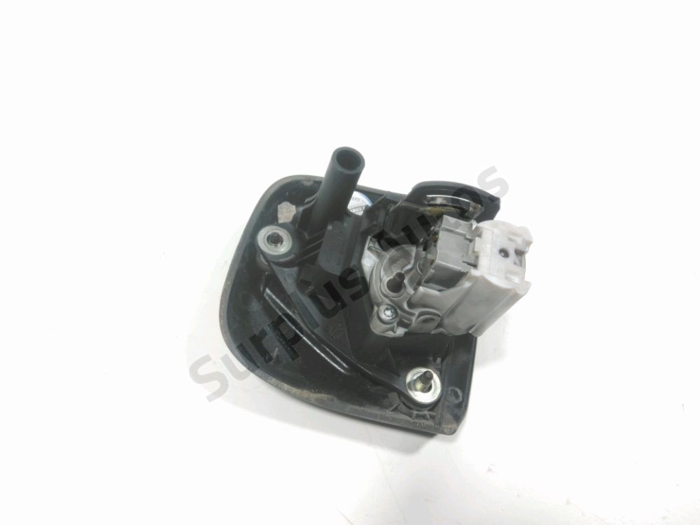 Poignée extérieure de Hayon