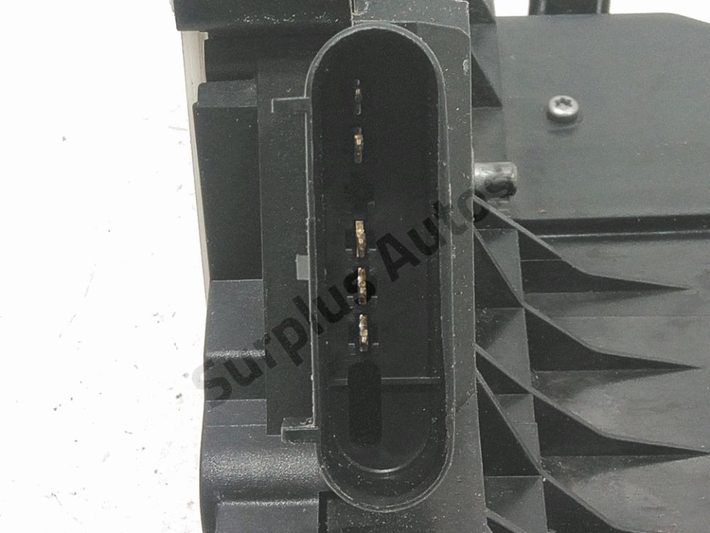 Poignée extérieure avant gauche