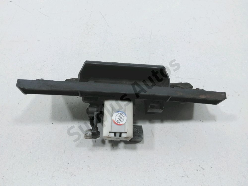 Poignée extérieure de Hayon