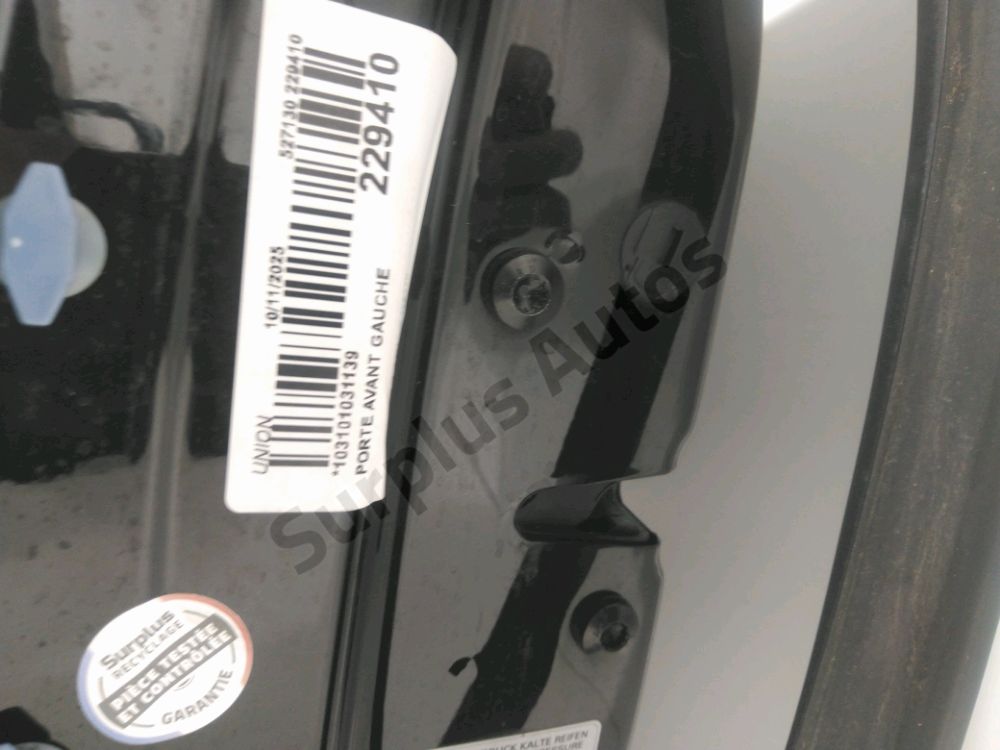 Porte avant gauche