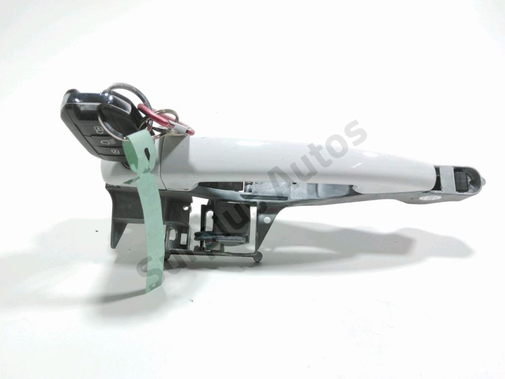 Poignée extérieure avant gauche