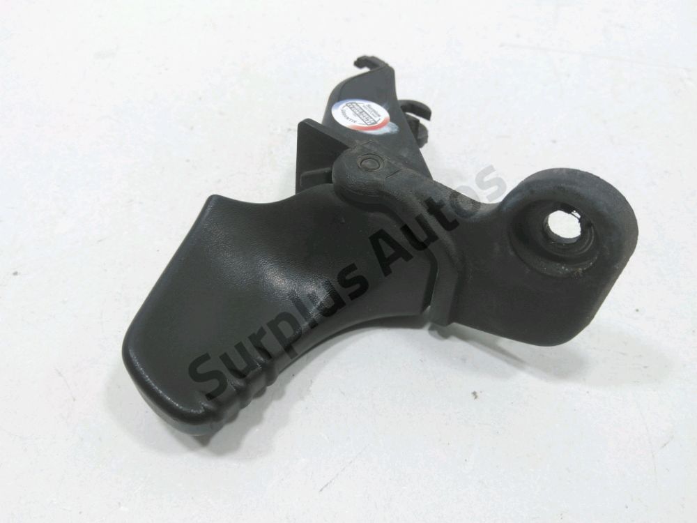 Poignée extérieure avant gauche