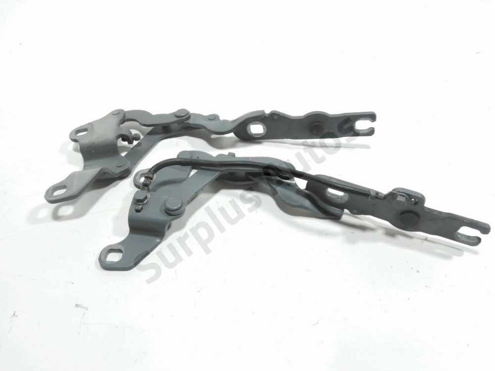 Jeu de charnieres de capot