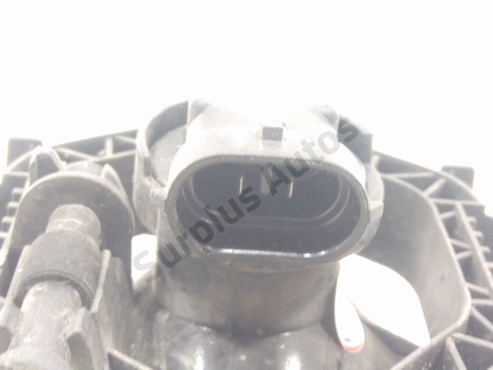 Antibrouillard avant droit