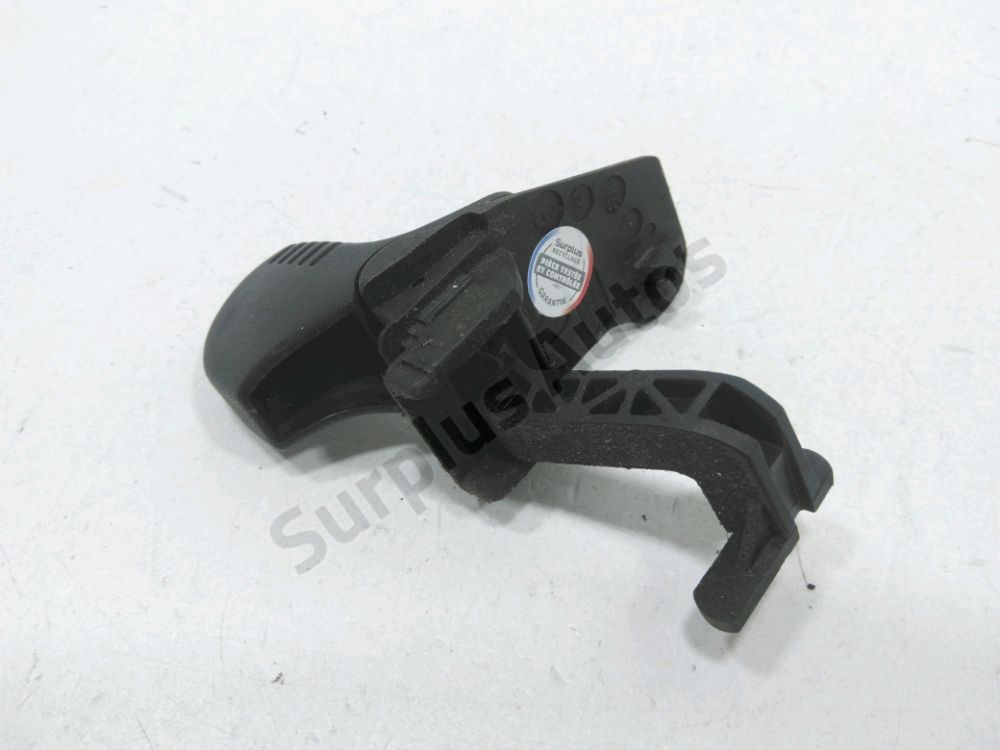 Poignée extérieure avant gauche