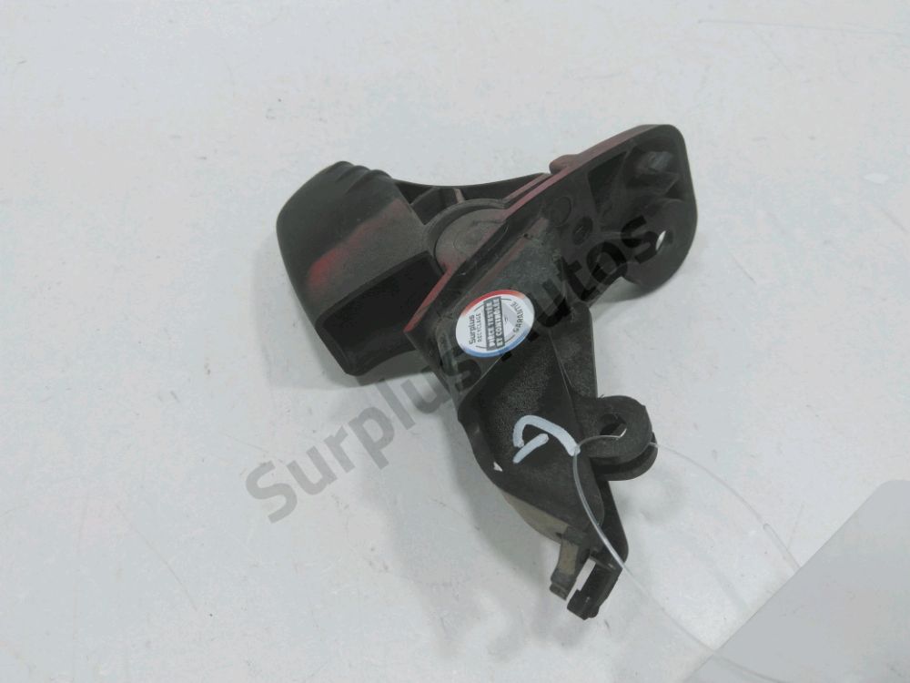 Poignée extérieure avant gauche