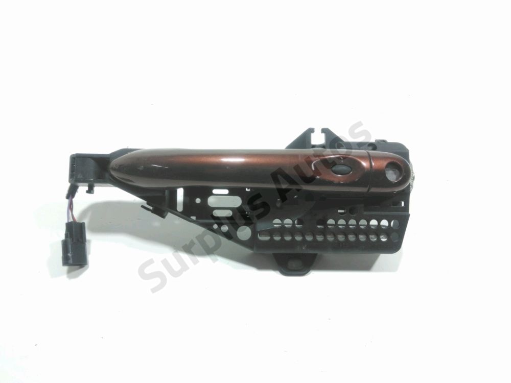 Poignée extérieure avant gauche