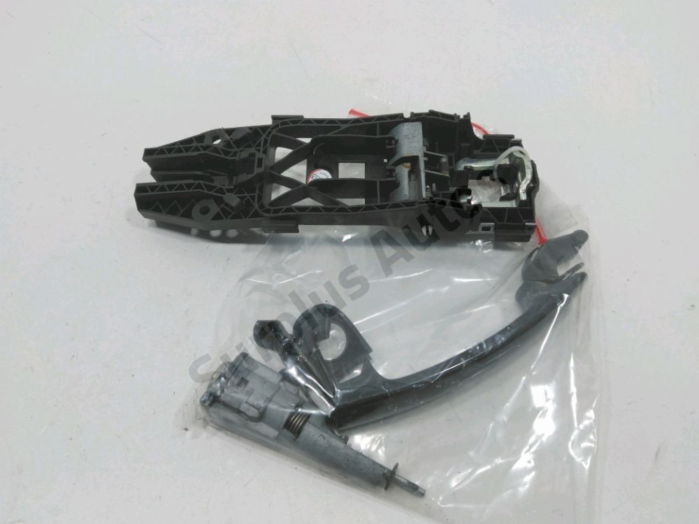 Poignée extérieure avant gauche