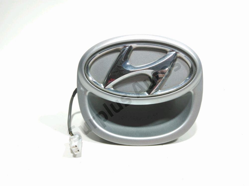 Poignee exterieure de hayon