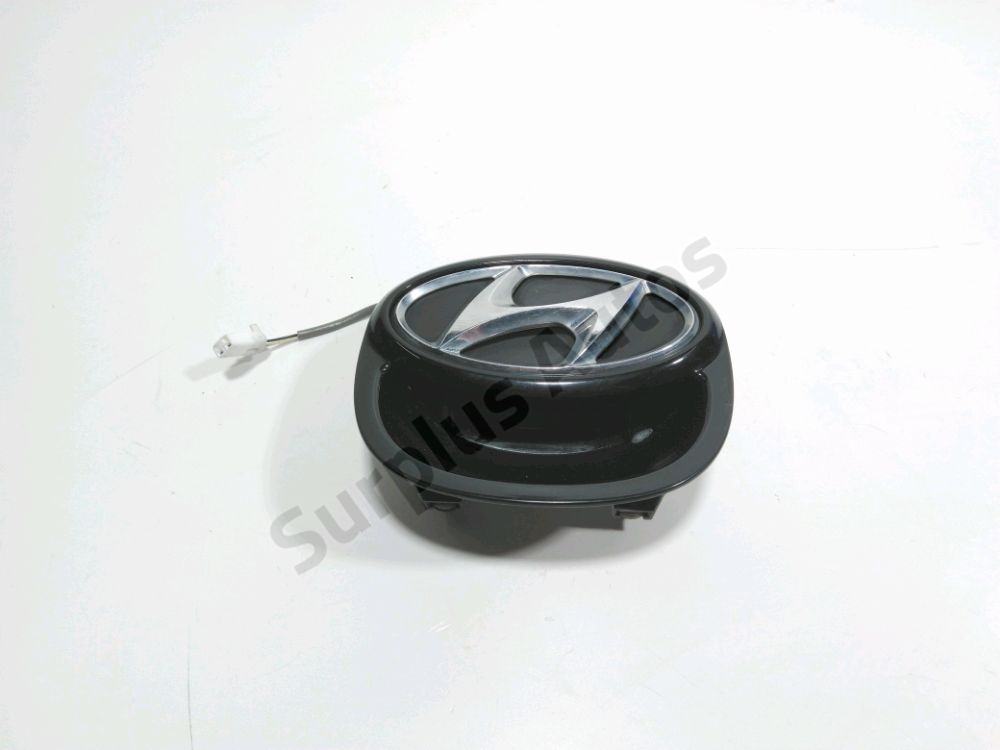 Poignée extérieure de hayon