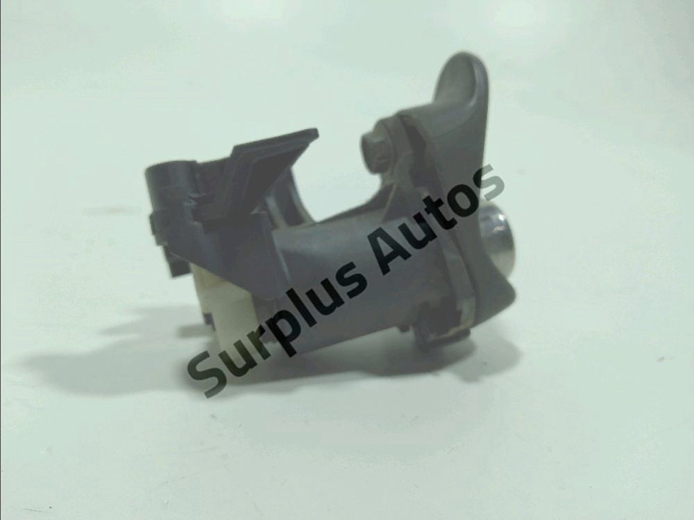 Poignée extérieure de Hayon