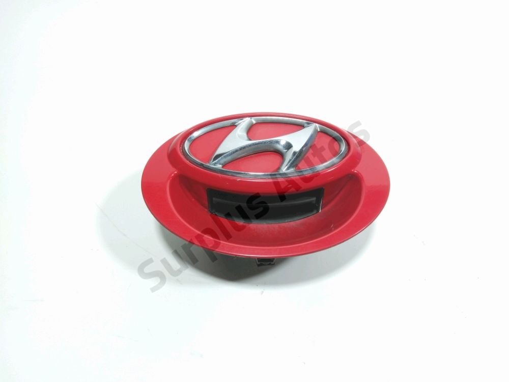 Poignee exterieure de hayon