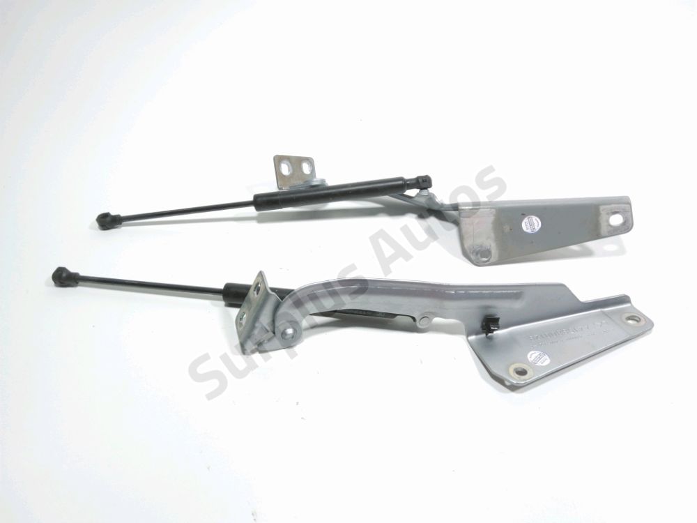 Jeu de charnières de capot