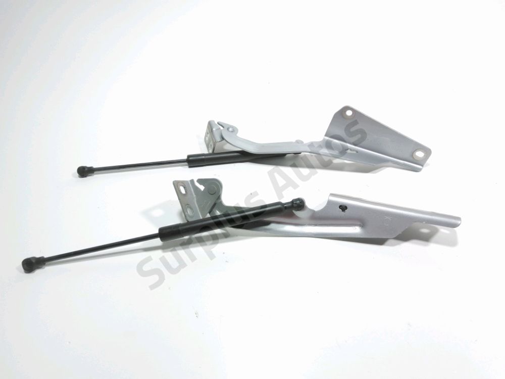 Jeu de charnières de capot