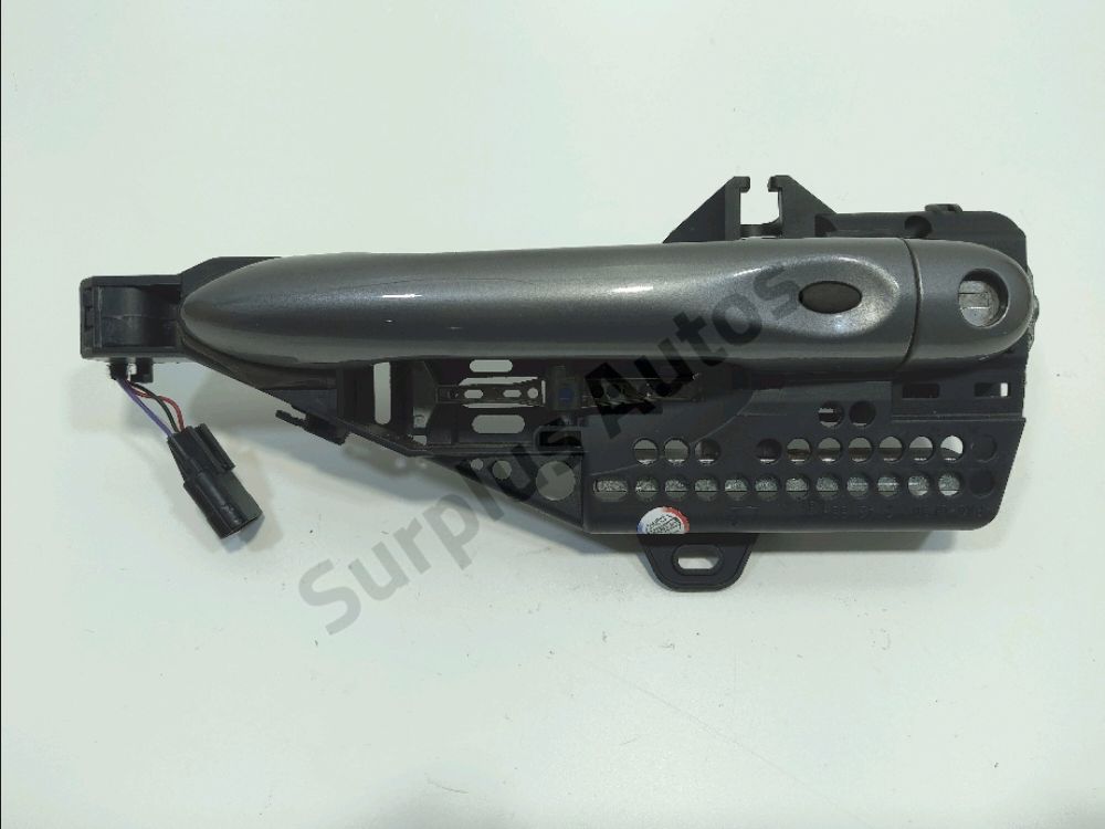 Poignee exterieure avant gauche