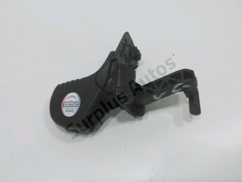 Poignée extérieure avant gauche