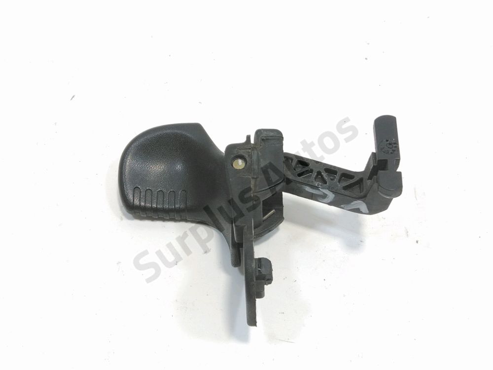 Poignée extérieure avant gauche