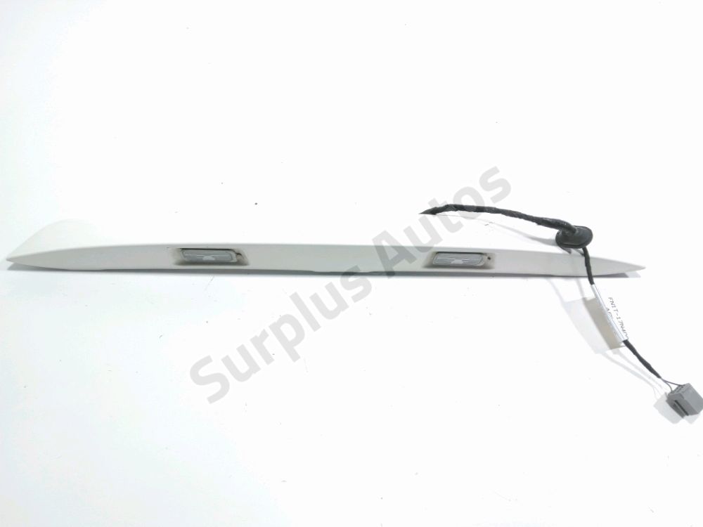 Poignée extérieure de Hayon