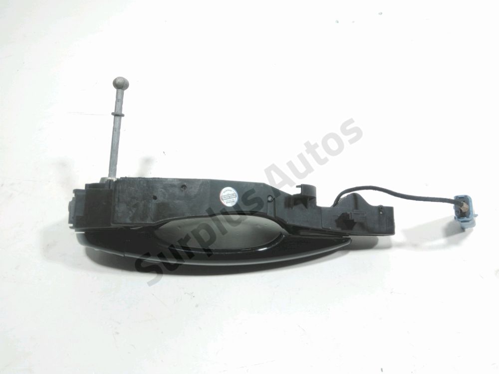 Poignée extérieure avant gauche