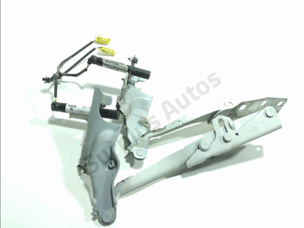 Jeu de charnières de capot