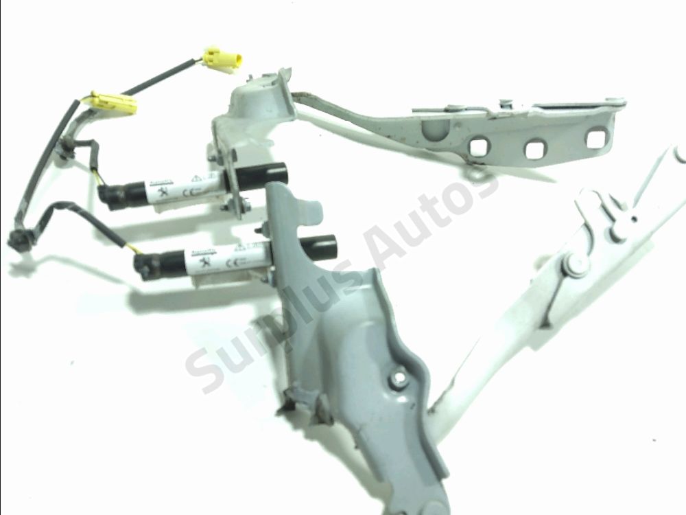 Jeu de charnières de capot