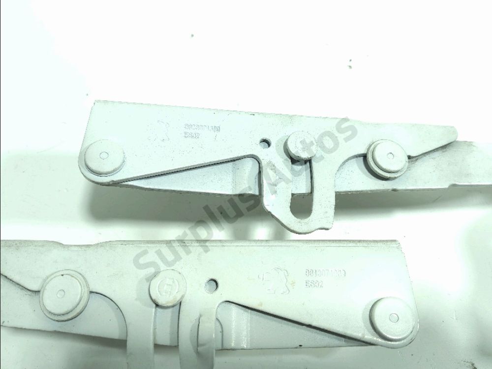 Jeu de charnières de capot