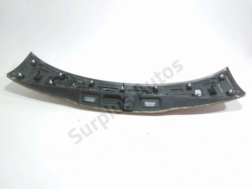 Poignée extérieure de Hayon