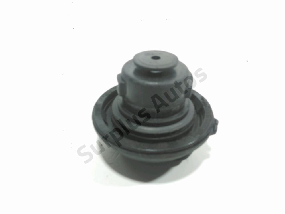 Bouchon de réservoir à carburant