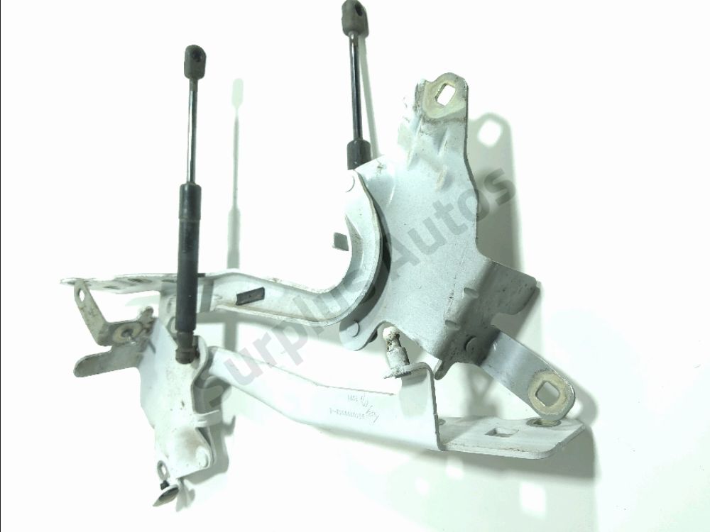 Jeu de charnières de capot