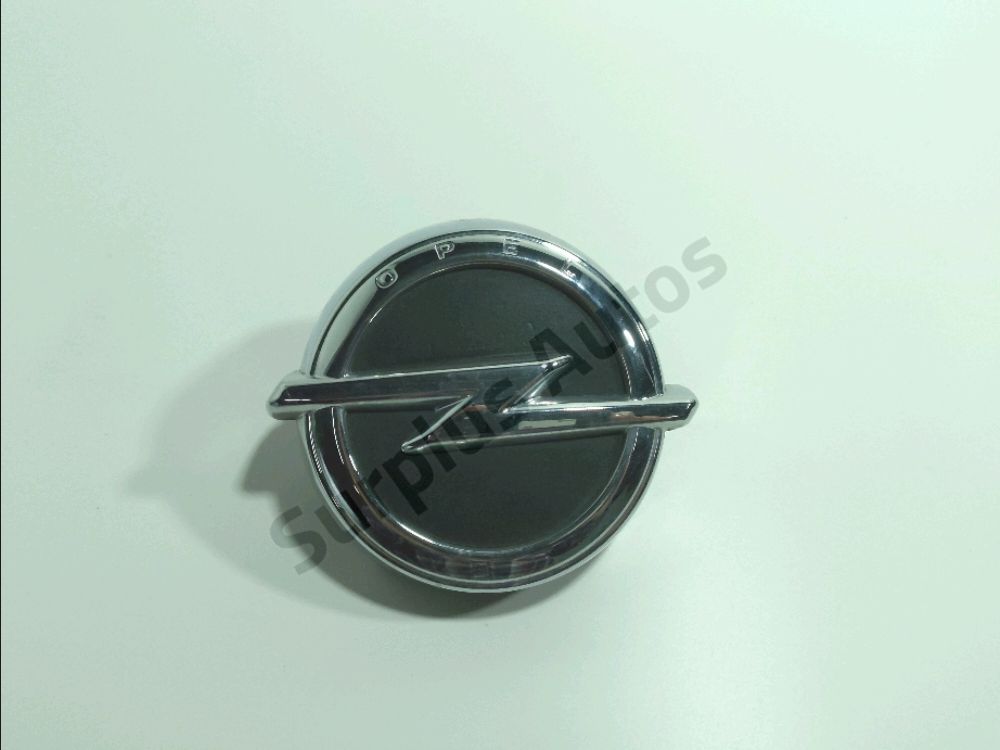 Poignee exterieure de hayon