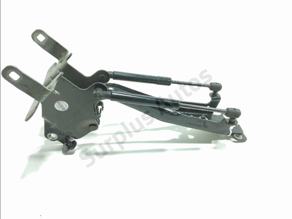 Jeu de charnières de capot