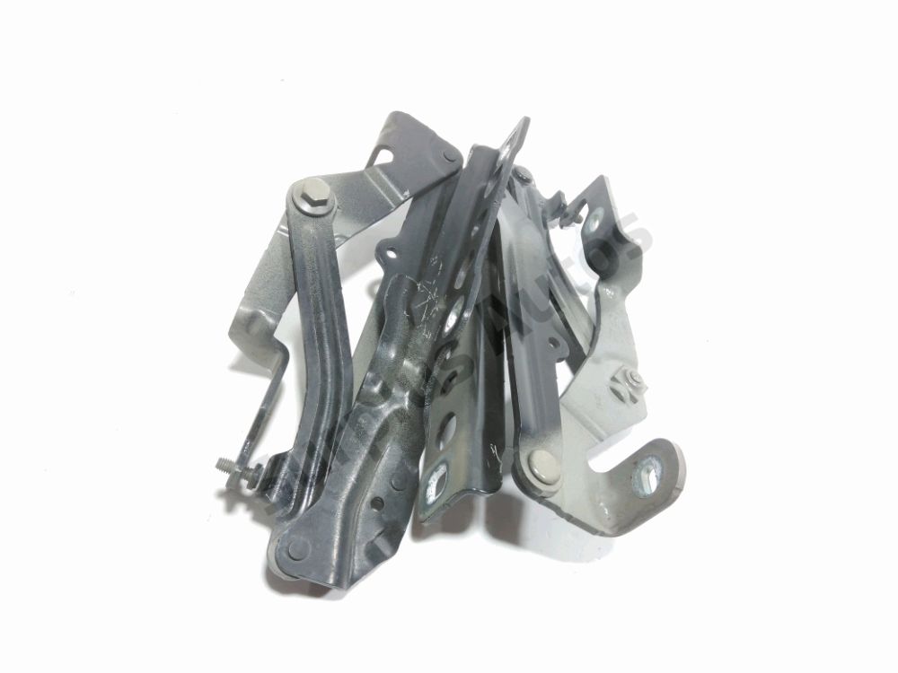 Jeu de charnieres de capot