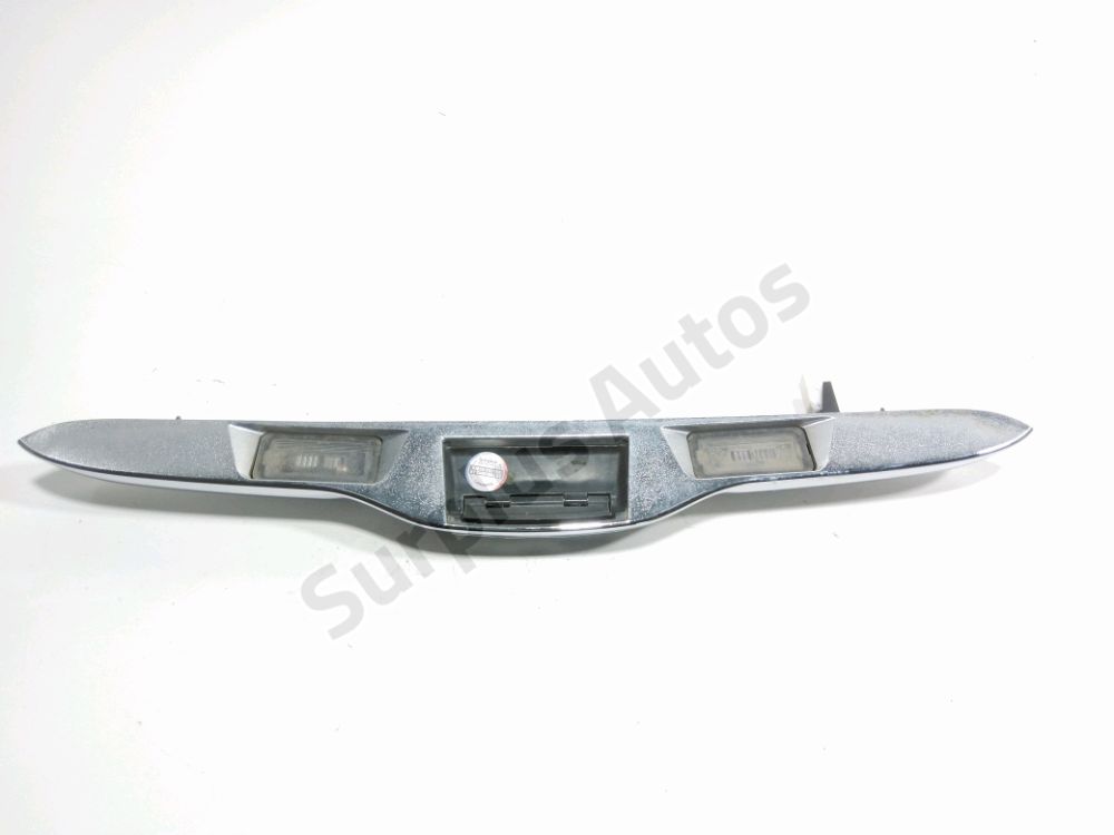 Poignée extérieure de Hayon