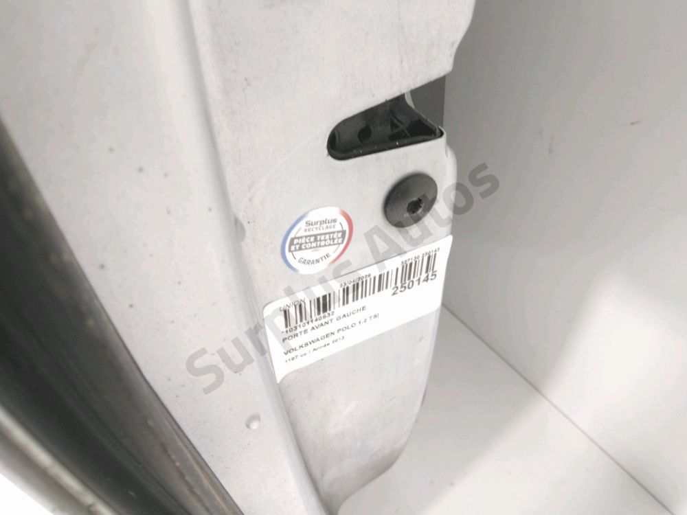 Porte avant gauche