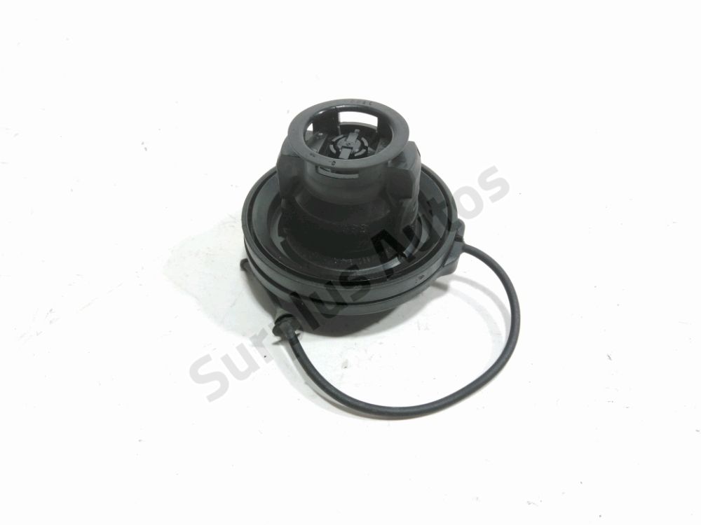 Bouchon de réservoir à carburant