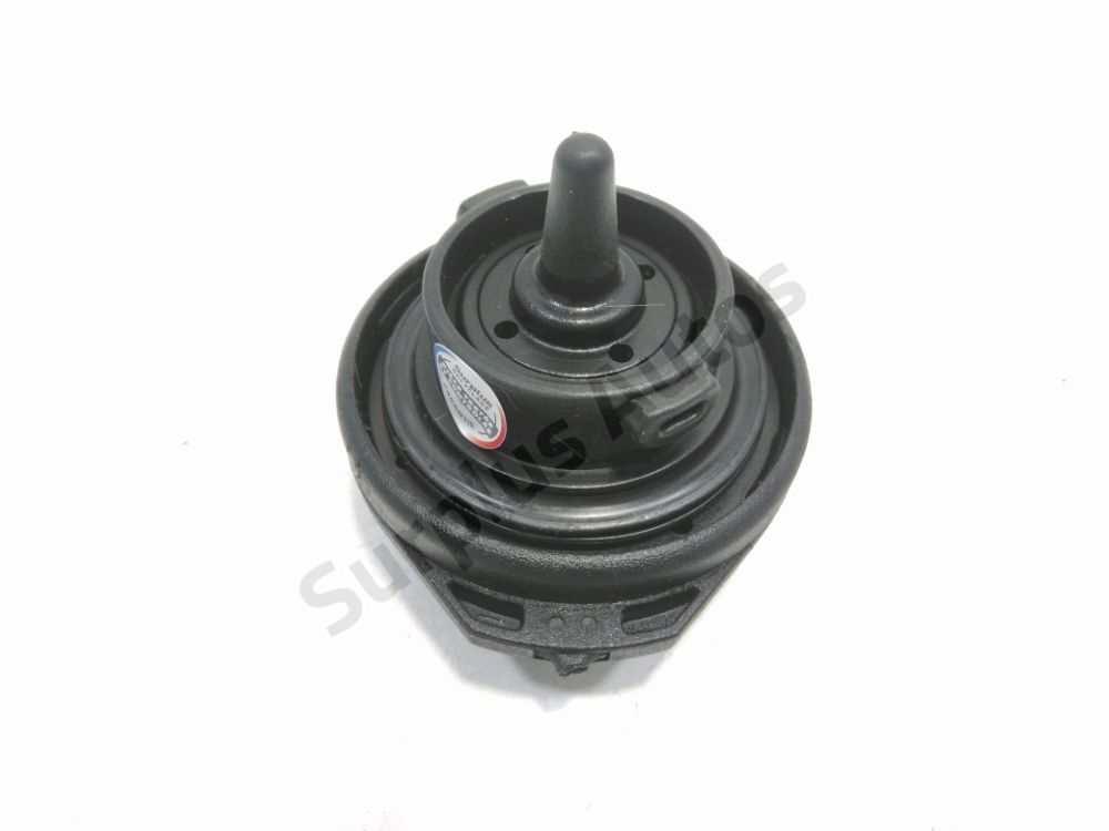 Bouchon de réservoir à carburant