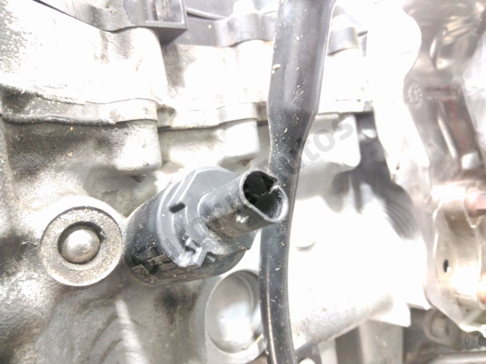 Moteur