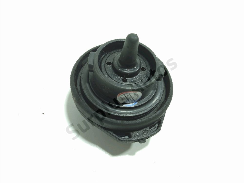 Bouchon de réservoir à carburant
