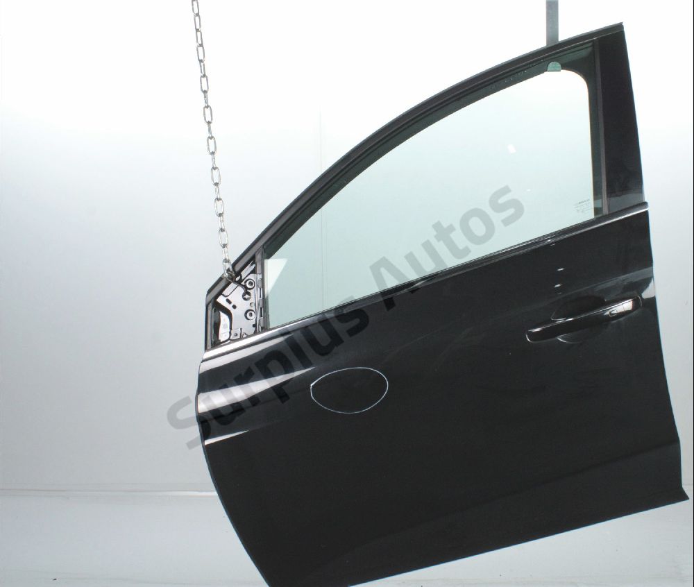 Porte avant gauche