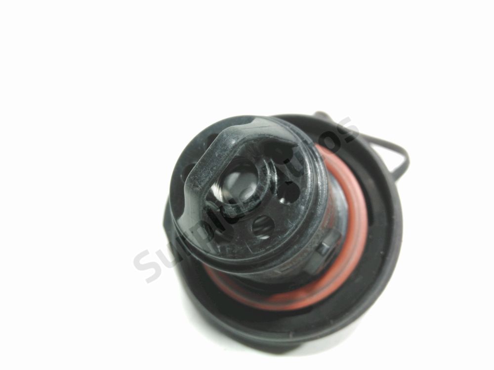 Bouchon de réservoir à carburant