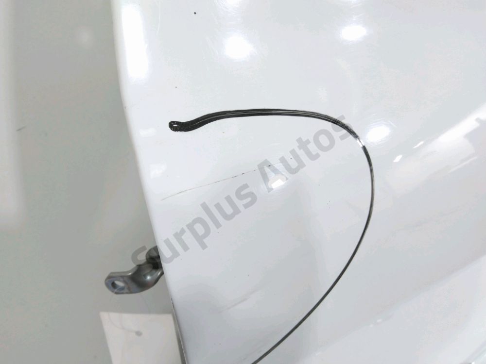 Porte avant gauche