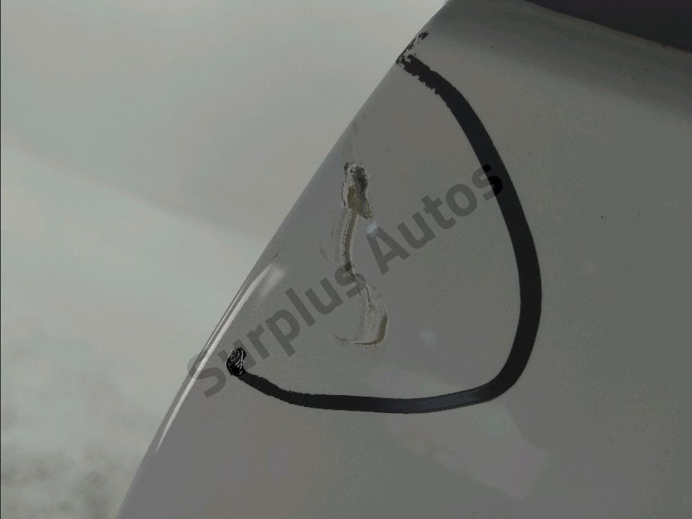 Porte avant gauche