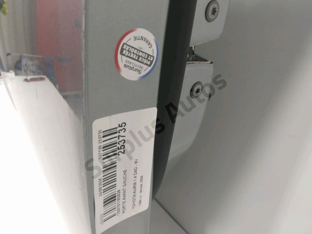 Porte avant gauche