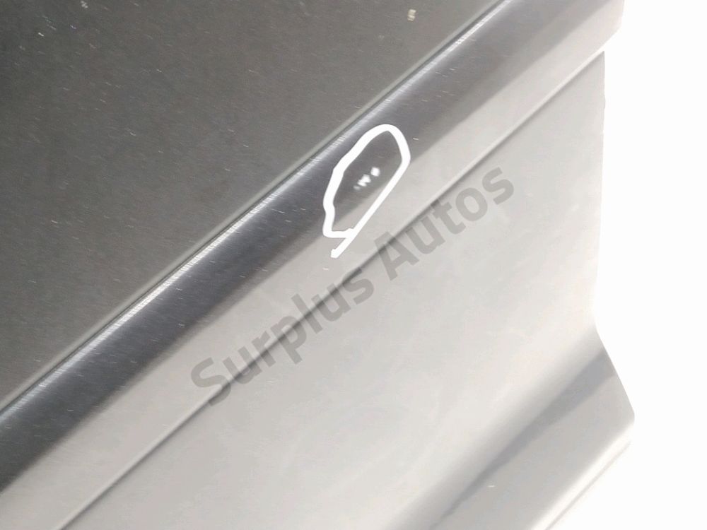Porte avant gauche
