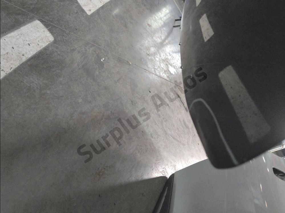 Hayon