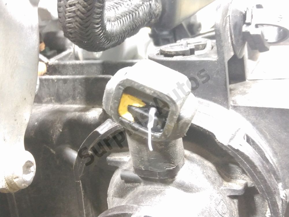 Moteur
