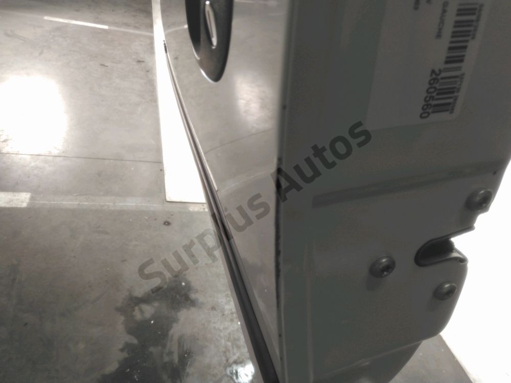 Porte avant gauche