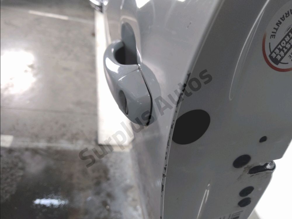 Porte avant gauche
