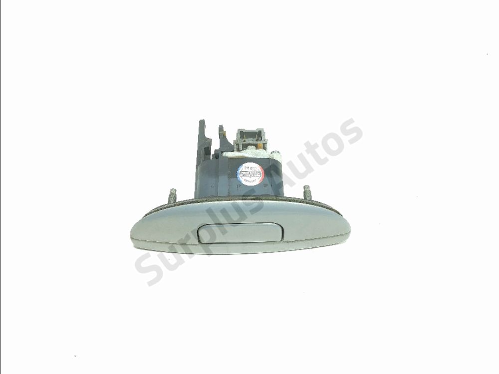 Poignée extérieure de Hayon